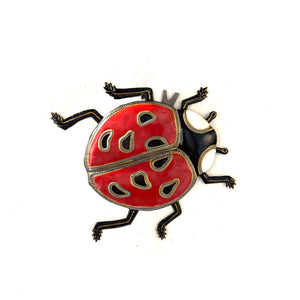 Little Lady Bug