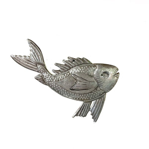 Fish Wish